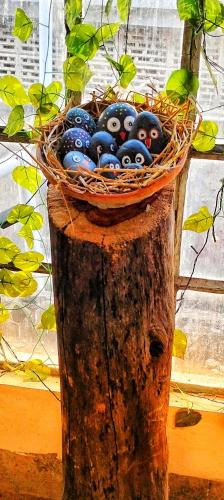 Sualkuchi House | The BIRD Nest