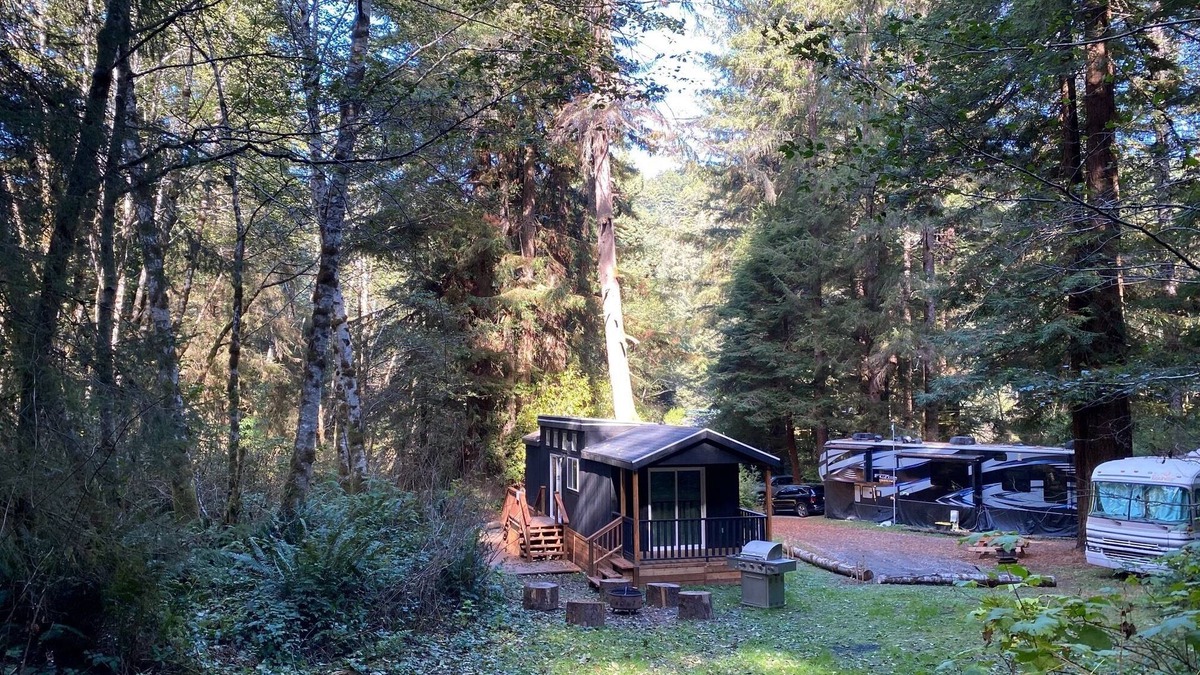 Klamath Cabin | The Black Bear Cabin - 2 bedrooms in the redwoods