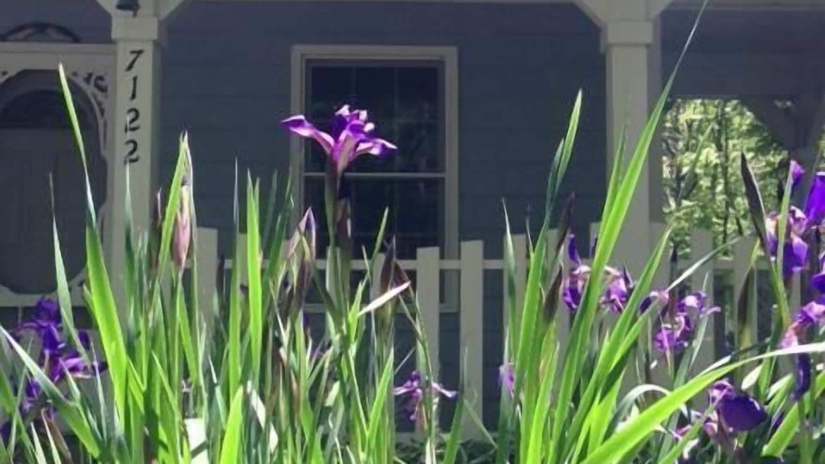 Trenton Cottage | The Blue Cottage located in the woods on Lookout Mountain in Rising Fawn GA