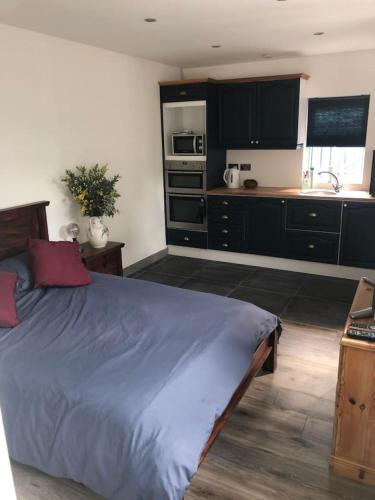 Belfast Apartment | The Blue Garden Flat
