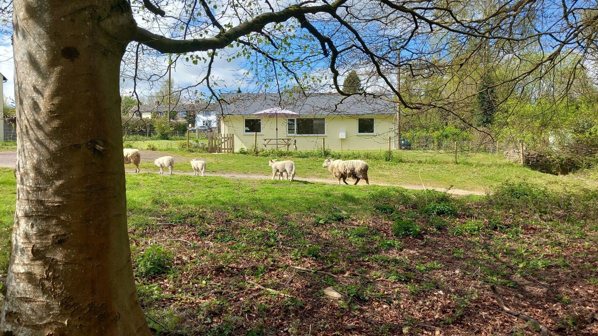 Ruardean House | The Bungalow, Forest of Dean