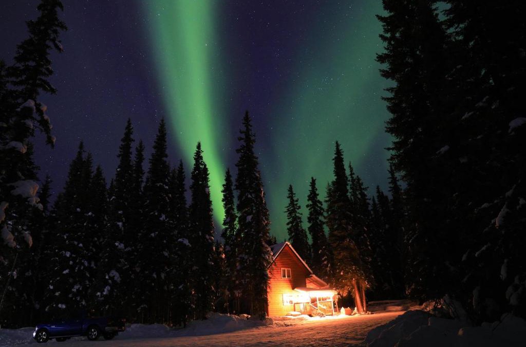 Fairbanks House | The Cabin in the Woods 4 森林小屋 4