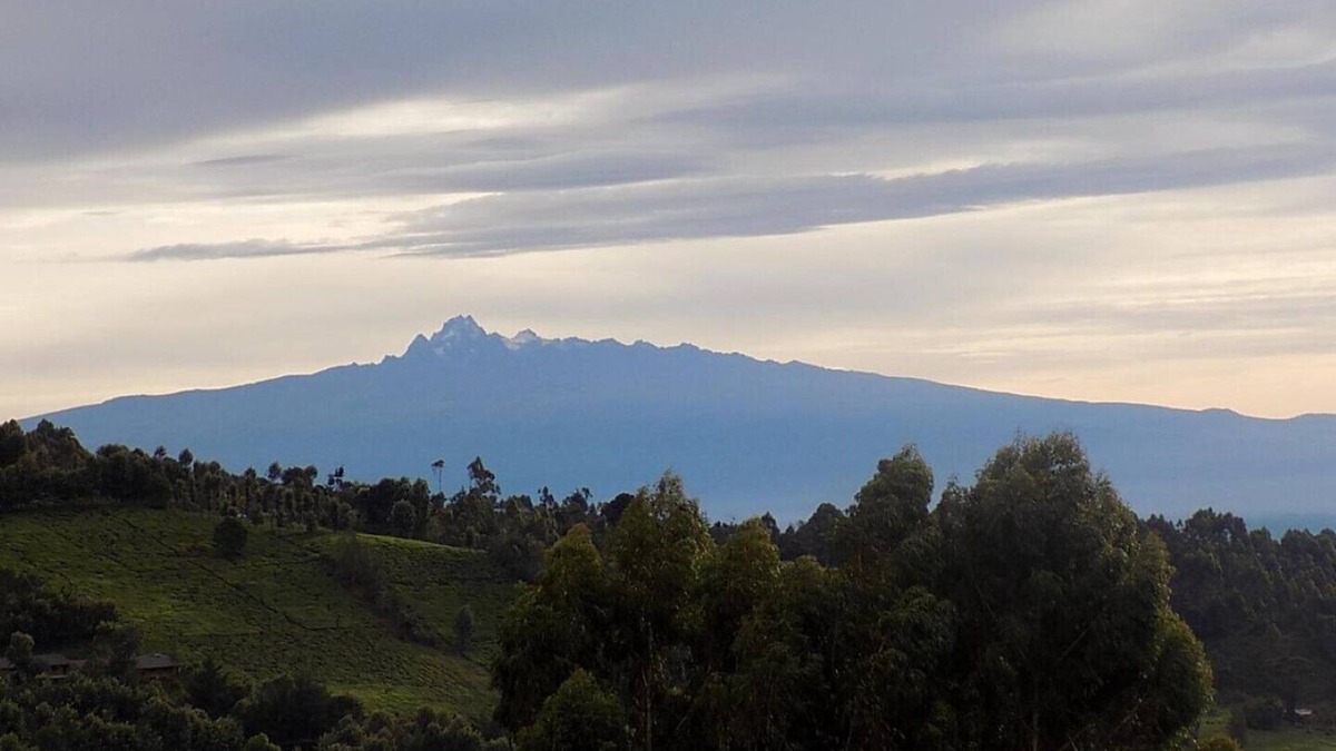 Kiamuturi Cabin | The charming Ranges View Lodge - Entire Lodge