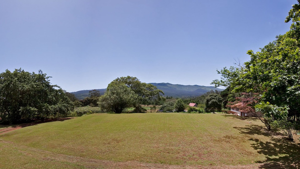 Santo da Serra Villa | The Cottage at Quinta das Colmeias