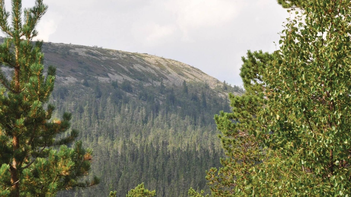 Stoten House | The cottage is located near the river Tandån and at the foot of three large mountains.