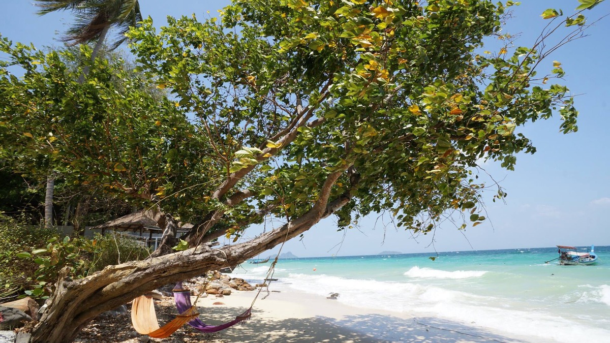 Ko Phi Phi Hotel | The Cove Phi Phi