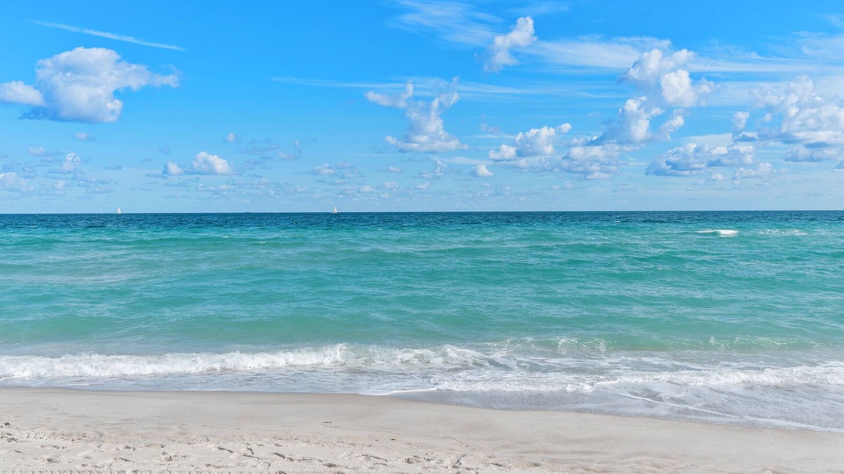 North Beach Hotel | The Desoto Inns
