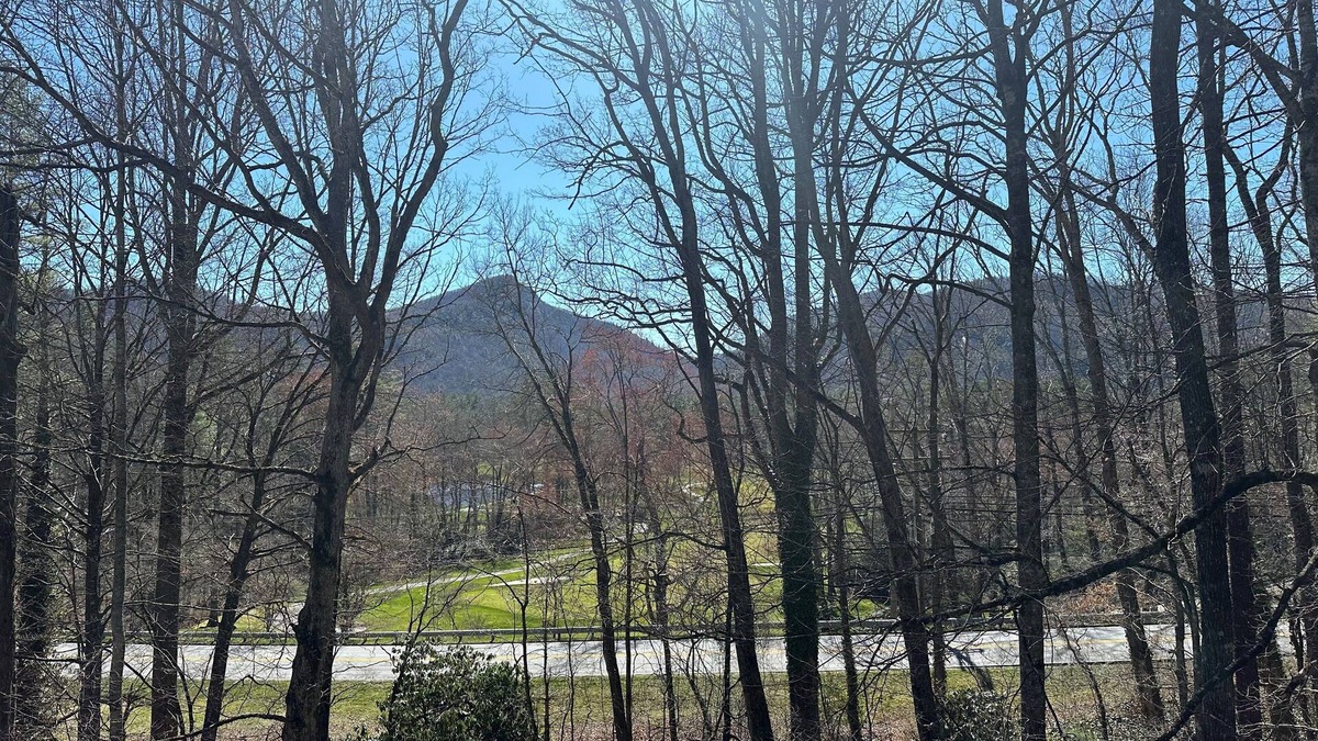 Sapphire Condo | The Dogwood condo is located in the heart of Sapphire Valley with WiFi, AC