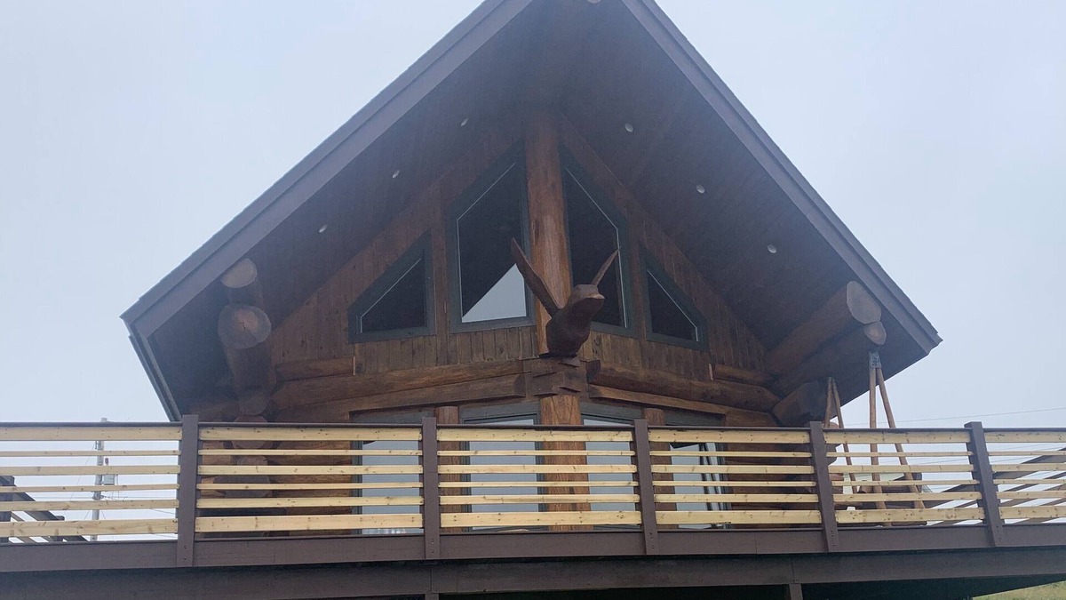 Terra Nova House | "The Duck" Cedar Log Home Rental - Sleeps 12!