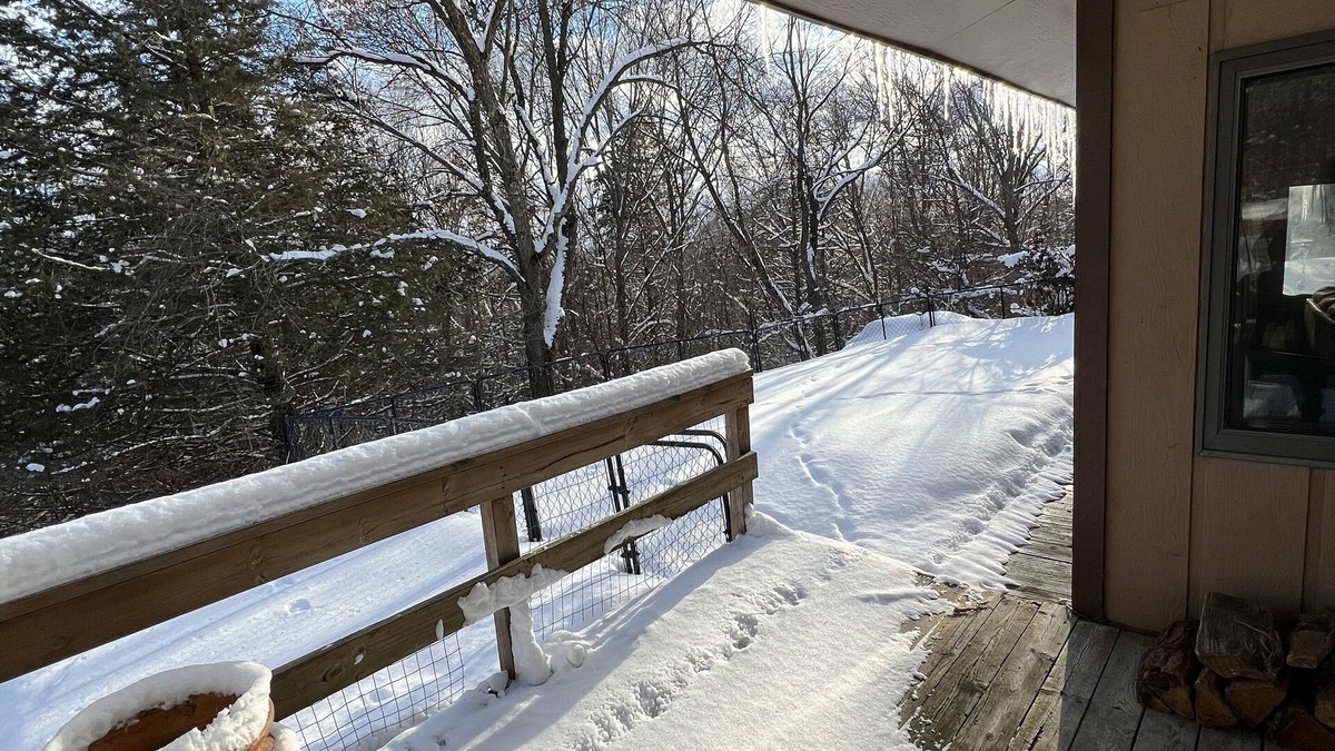 Eau Claire House | The Eagle's Nest - Cabin Home