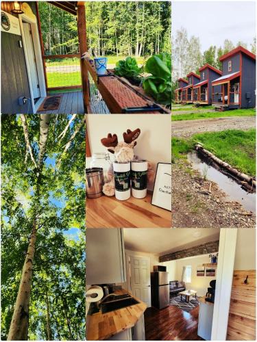 Badger House | The Fancy Fox - Frontier Village