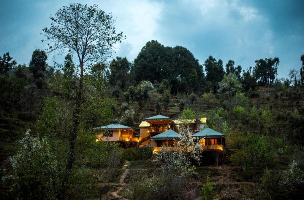 Kaul Other | The Foliage