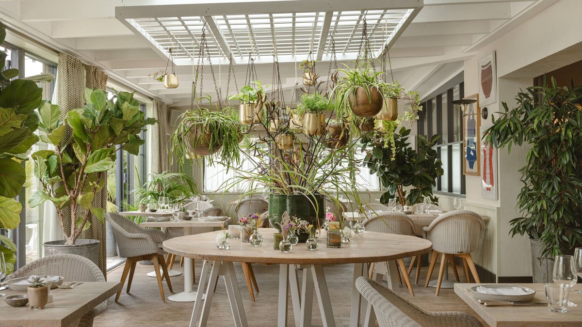 Camber Hotel | The Gallivant