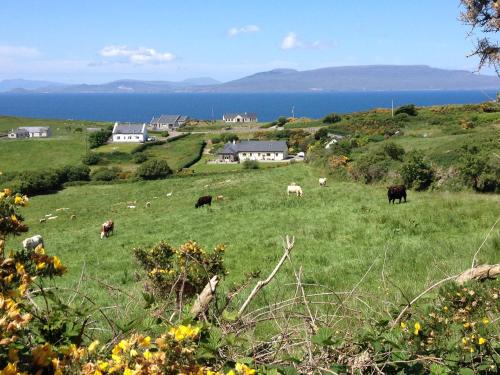 Louisburgh Bed & Breakfast | The Garden Room at Sleepy Hollow