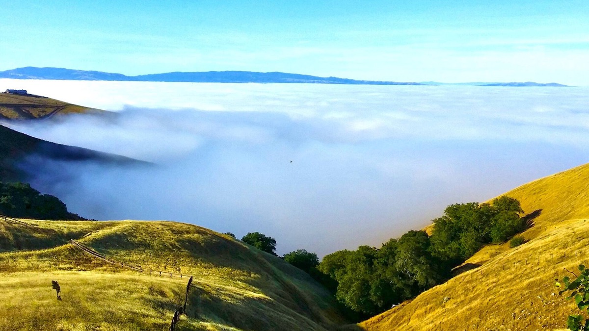 Livermore House | The Gated Country Estate | High Elevation| Views| Weddings (Fee Applies)