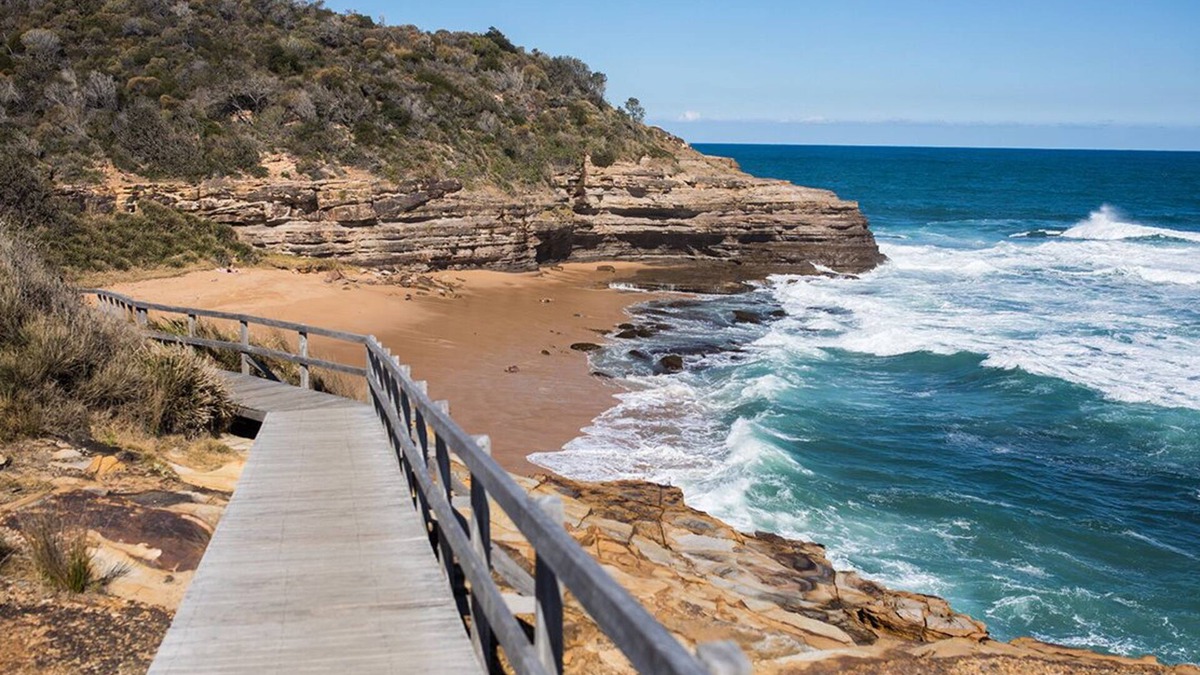 Wagstaffe Apartment | The GRAPEViNE - Bouddi National Park