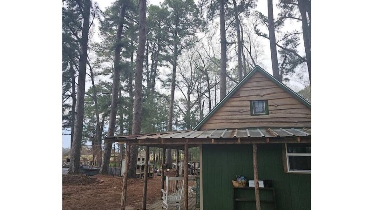 Mineola House | The Green Cabin