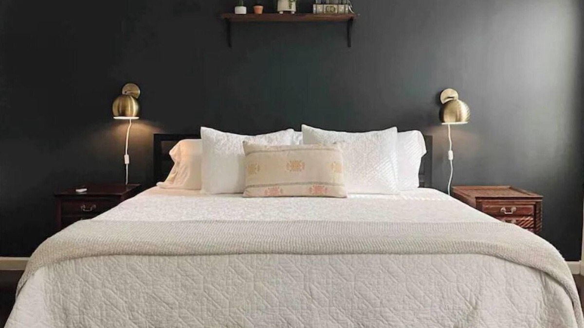 Greensboro House | The Green House - cozy 3 BR near downtown Greensboro