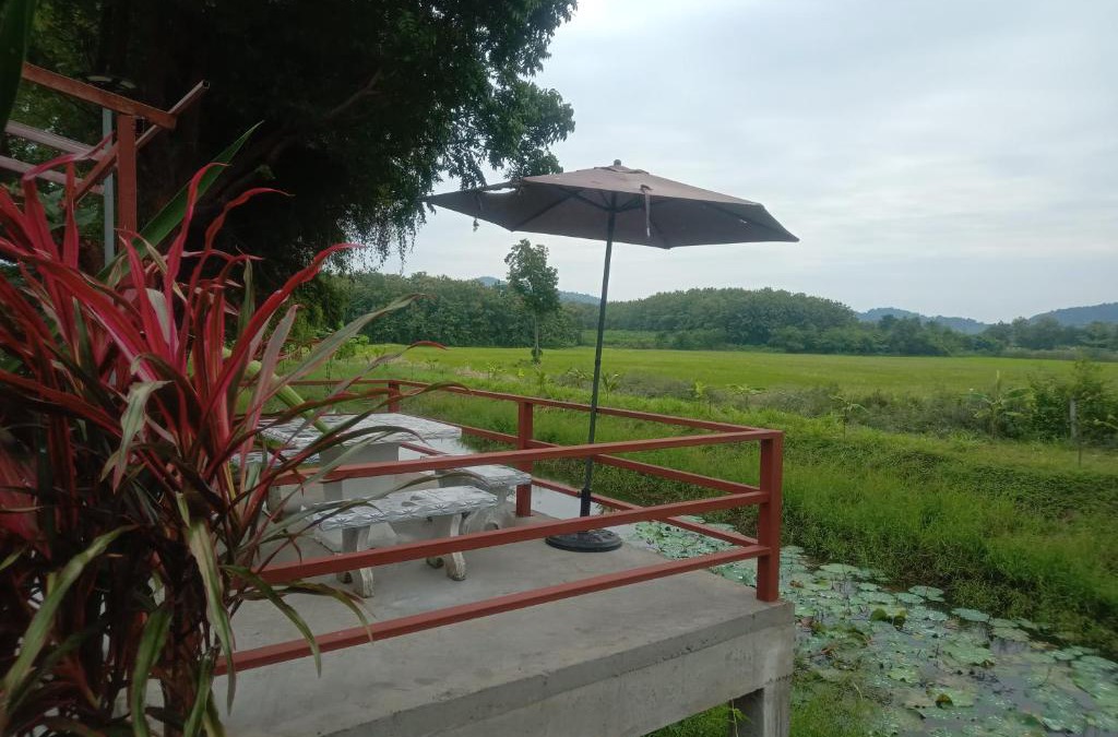 Nong Phai Bed & Breakfast | The Green Vale B&B
