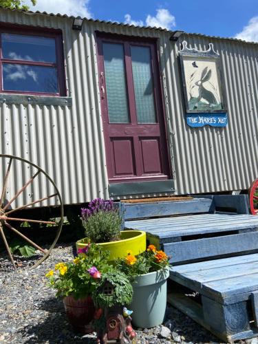 Ballyfoyle Other | The Hares Hut at Carrigeen Glamping