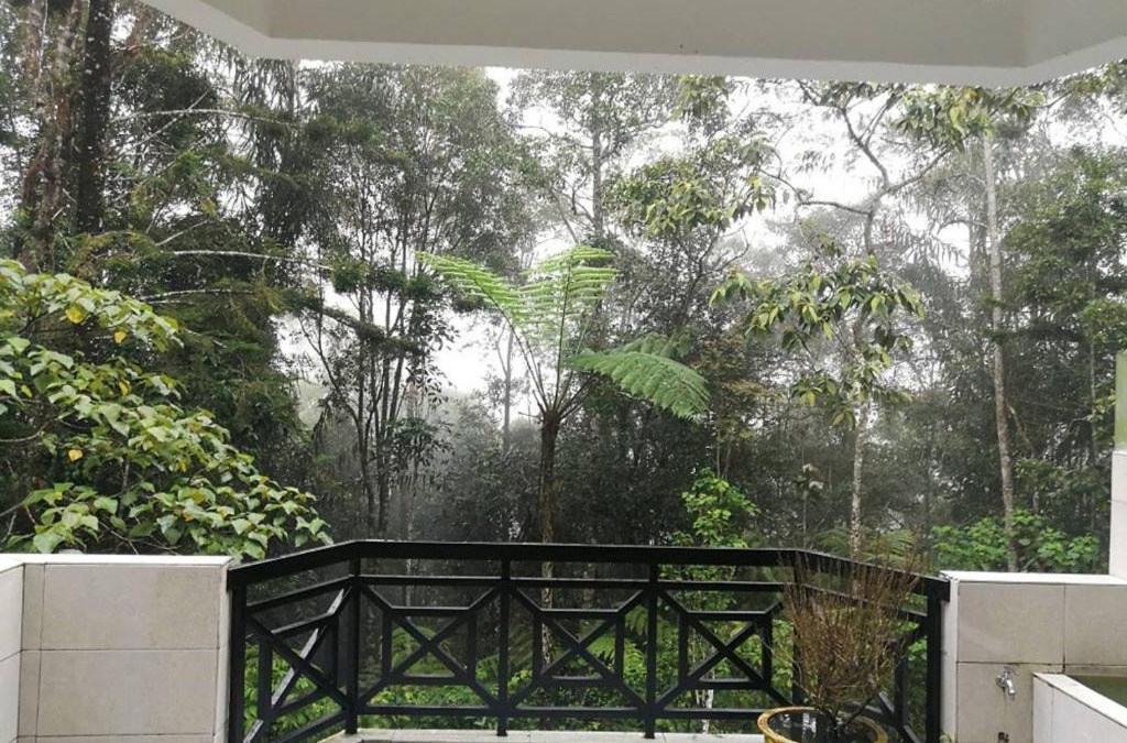 Bukit Fraser Apartment | The Haven Retreat B7-2-1 (Silverpark)
