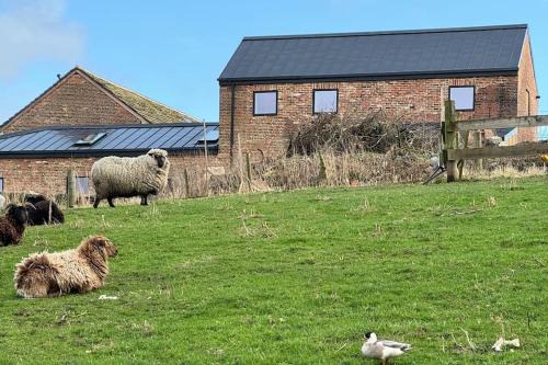 Hoylandswaine House | The Hayloft, Modern 4 Bed, 8 person, Barn Conversion in a Rural Location with Great Access