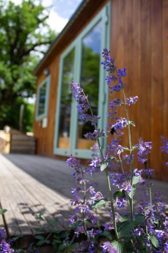 Warminster Other | The Hideaway at Hidden Wood Glamping