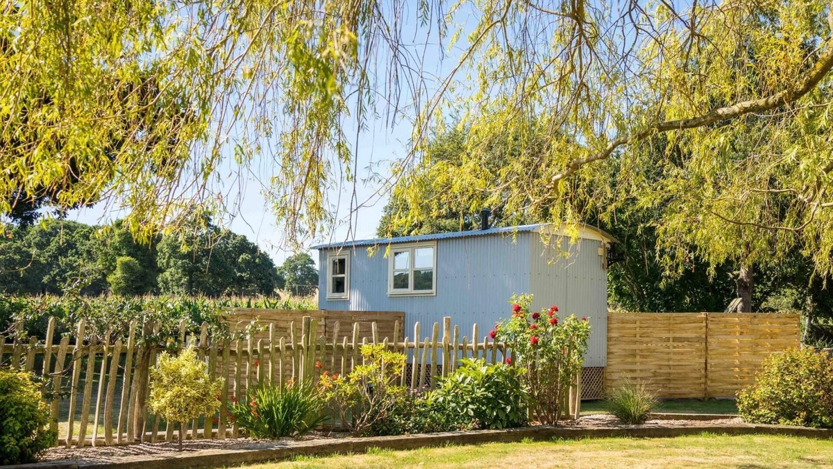 Whitestone Apartment | The Hideaway Hut - 1 Bed Shepherds Hut - Dodmarsh