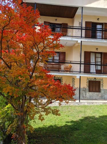 Elati Apartment | The House with the Hydrangeas