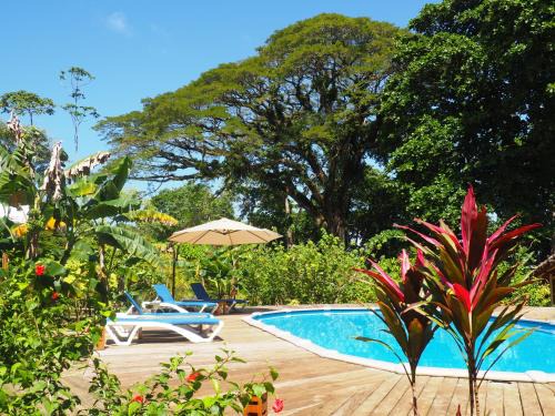 Bocas del Toro Hotel | The Hummingbird