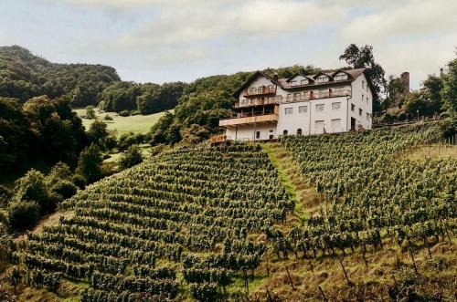 Pfaefers Dorf Hotel | THE HUS am Weinberg