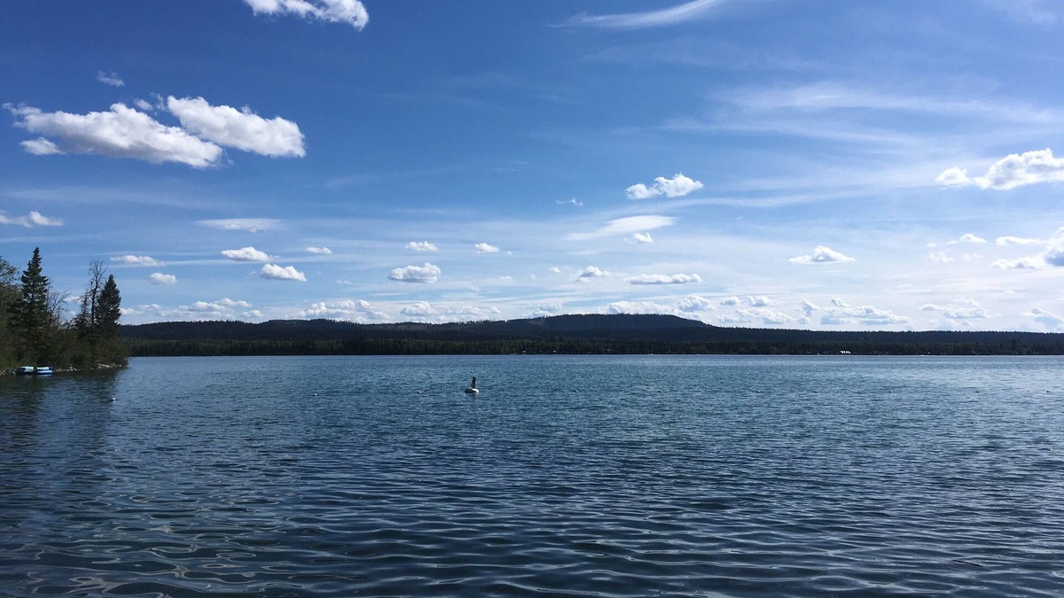 Celista House | The Islander Cottage on the sunny Shuswap