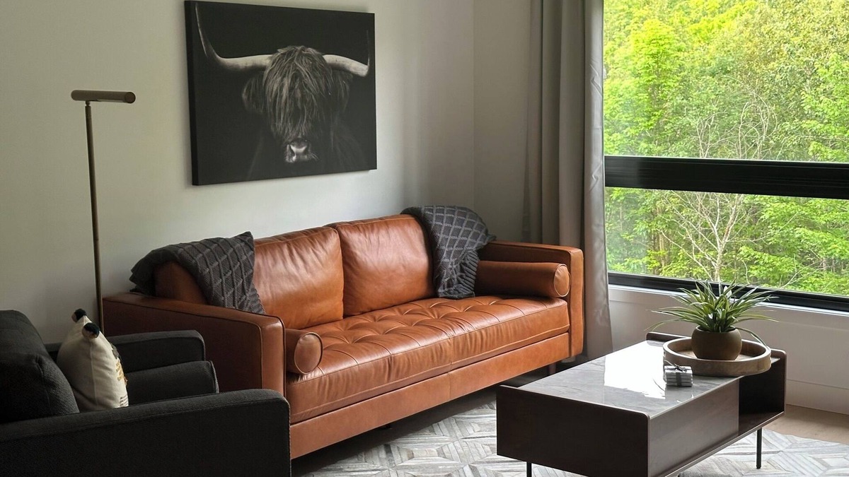 Orford Condo | The JOFORD, Condo, 5 minutes from skiing, Sépaq with extras (bikes, paddles +)