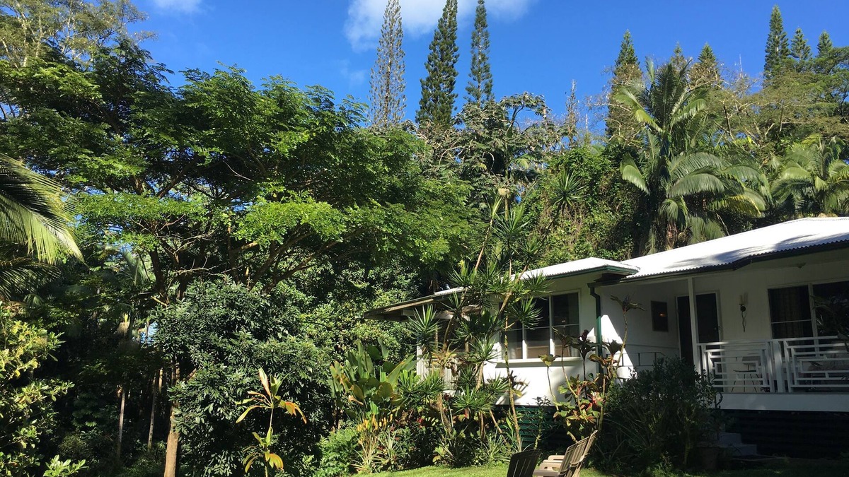 Kapoho Other | THE JUNGLE FARMHOUSE - Come See the Volcanoes National Park