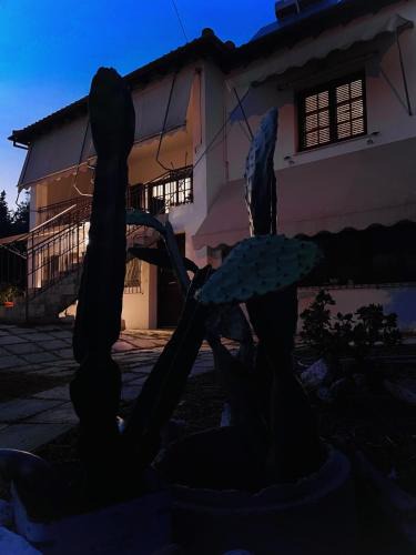 Nikopolis Apartment | The land of the olive tree