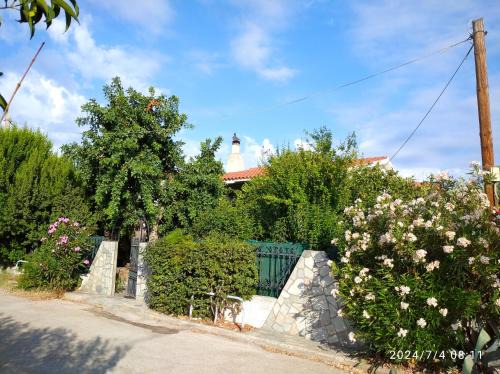 Agii Apostoli House | The Lemon House by The Sea