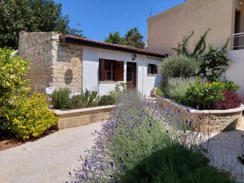Agios Theodoros House | The Little House