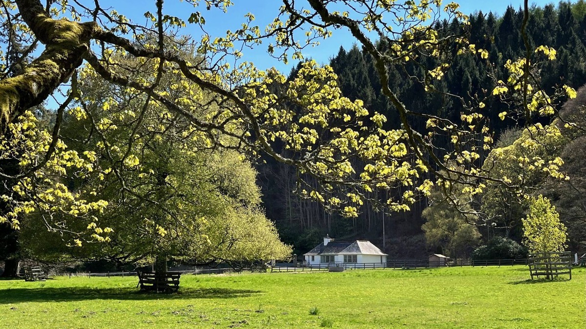 Galashiels Cottage | The Lodge at The Yair - Riverside comfort in the Scottish Borders