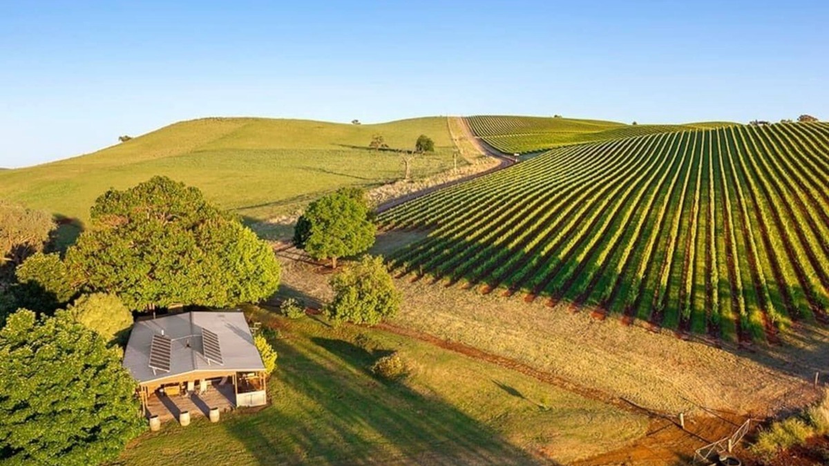 Myrrhee Other | The Lodge by Mt Bellevue - Best views in the King Valley