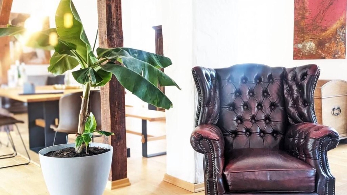 Kues Apartment | The Loft - Mosel Loft