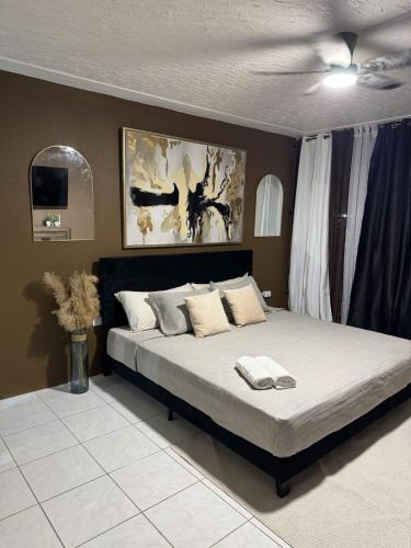 Camperdown Apartment | The Luxe Studio
