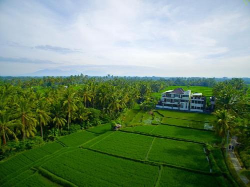 Ubud Villa | The LUXE Ubud - a Boutique Hotel