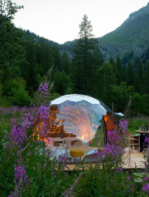 Salvan Other | The Lynx