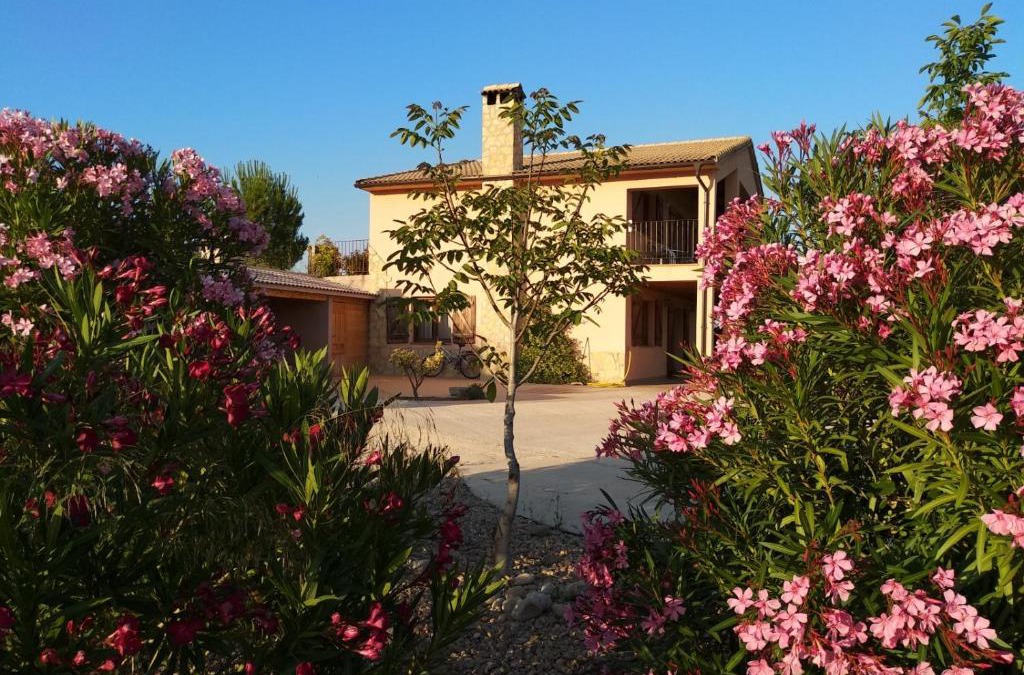 Mas de las Matas House | The Marshall House