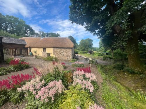Highampton House | The Milking Parlour