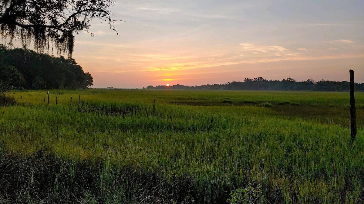 Saint Helena Island House | "The Mini Hideaway"-Short drive to Hunting Island State Park(PASS INCLUDED)