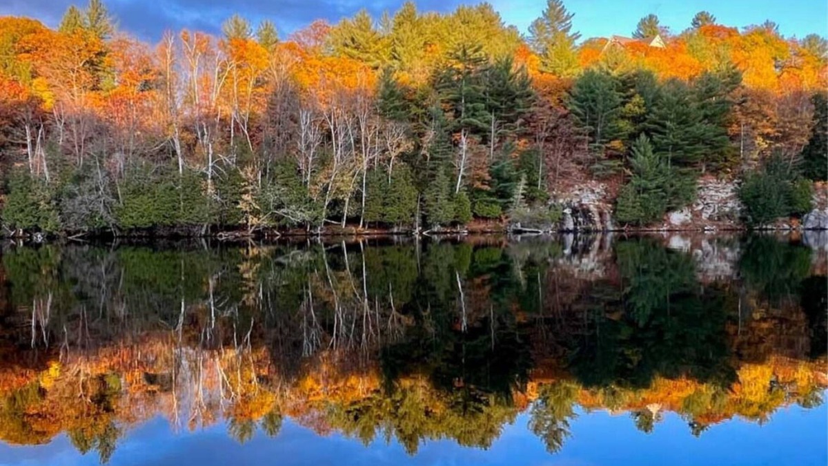 Utterson Cottage | The Nest- 2 bedrooms, Waterfront, Unlimited Wi-Fi