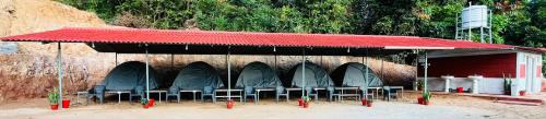 Madikeri Other | The nest bettathur Coorg campsite