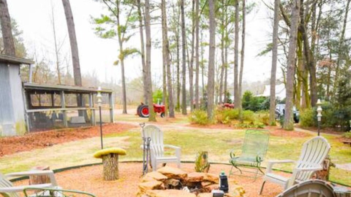 Oxford Other | The Nest Egg Guest House