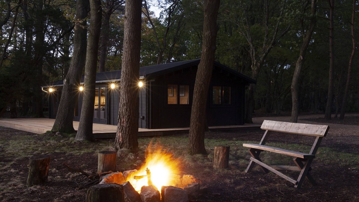 New Forest District Cabin | The New Forest Cabin in 12 acres of private woodland